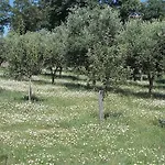 Uliveto Garden *