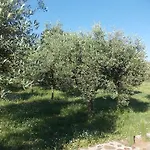 Uliveto Garden Hotel Bagnara Calabra
