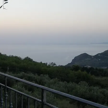Uliveto Garden *