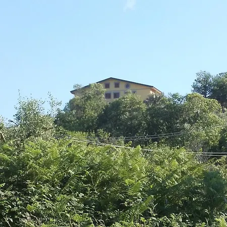 Bed & Breakfast Uliveto Garden
