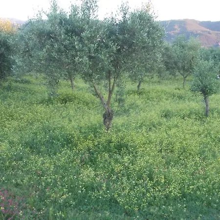 Uliveto Garden * Bagnara Calabra