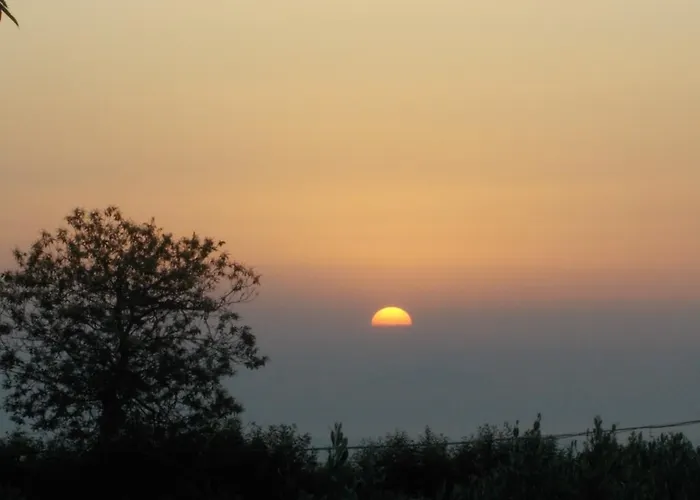 Uliveto Garden Hotel *