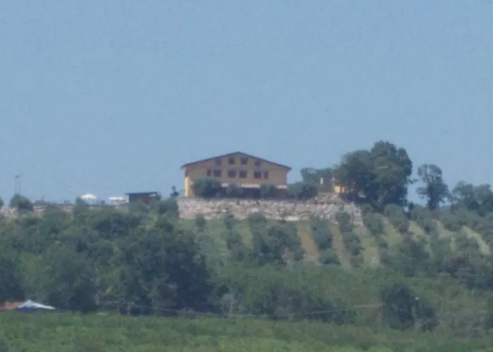 Uliveto Garden * Bagnara Calabra