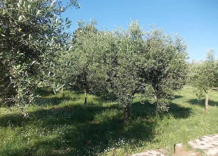 Uliveto Garden מלון באניירה קלאברה