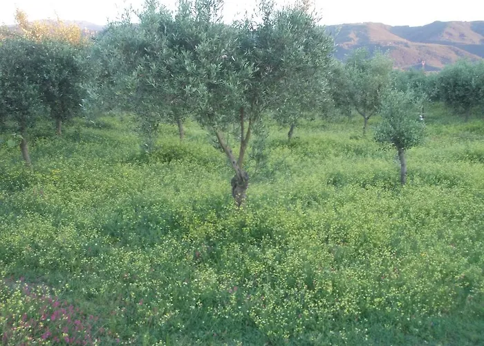 Uliveto Garden * באניירה קלאברה